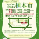 第50回春の植木市_WEB用チラシのサムネイル